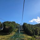 주식회사그레비티 | 여행특공대 티켓으로 즐기는 통영 스카이라인 루지! 통영 가볼만한 곳 완벽 가이드