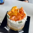 홍당디저트부띠끄 | 성심당 썸머요거피치 케익부띠끄 본점 평일 방문 후기