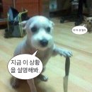 맛보네식당 | 어디서부터 시작해야 할까.. 하는 일상 🥹 (아가와 함께🪽)