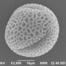 동강생태정보센터 이미지