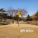 양지-18 | 양지 파인cc / 자신감 회복하고 돌아왔다 / 아쉬운 이글찬스