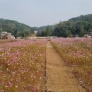 공릉천변 이미지