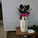 삼양사아산공장노동조합 이미지