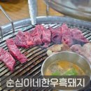 순심이네한우흑돼지 | 서귀포 현지인 고기맛집, 순심이네한우흑돼지 흑돼지오겹살&amp;제주한우 후기