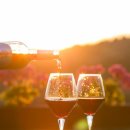 의선당한의원 이미지