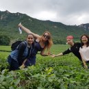 오감통 실내공연장 이미지