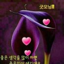 넘치는 행복