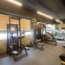 바디다짐 이미지