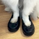 만찐두빵 이미지