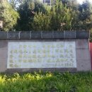 ▶ 중국통들의 중국이야기마오쩌둥을 키운 지식인, 참혹한 교수형…-5 이미지