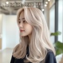 바바헤어 이미지