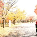 호수공원_희망의동산 이미지