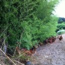 원스농장 이미지