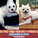 의령군청 이미지