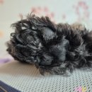 좋은사람들 치킨 | 올해 두번째 부산 방문. 부산에서 좋은사람들만 만났다😢 따뜻해...⛱️