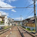 2831 | 일본 오사카 교토 여행 일일 버스투어 추천 당일치기 자유여행 후기