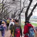 [영상] 제1112회 안양천 벚꽃길 걷기 이미지