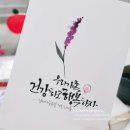 [시흥 건축문화제 후기] 체험부스 운영 이야기