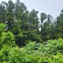 상창리-4 이미지