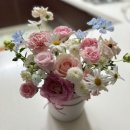 상원농원 | 수내역 꽃집 어버이날 꽃 봄가득 분당꽃집 상원꽃농원