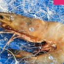 운악채한옥마을2 이미지