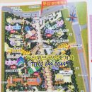 이송공인중개사사무소 이미지