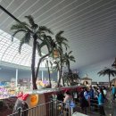 싸이버월드 | 롯데월드 어드벤처 생맥주 파는 곳은 어디? &amp; 매직아일랜드 방문 후기