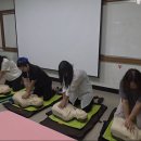 중앙합기도체육관 이미지