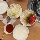 [맛집] 선릉역 횟집, 야장 분위기 속초오징어어시장 선릉점