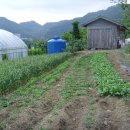 큰산농장 이미지