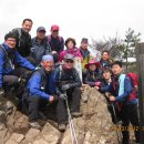 제천정구장 이미지