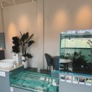 더 해움 | 여주아울렛 근처 카페 경기 여주 카페해움 경기도 수족관카페