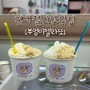 부엉이젤라또