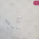 으뜸플러스안경둔산점 이미지