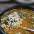 올갱이나라 이미지