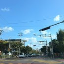 들꽃약국 | W8. 제주 스냅 | 블란도 , 포레스트랩 옒란도 촬영 후기 + 마크유어캘린더 부케, 플라워디렉팅 + 수에룬...