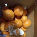 사간의향기 이미지