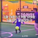 간절곶스포츠파크 운동시설 | 기흥 대형키즈카페 볼베어파크 스포츠테마파크 경기도 아이랑 가볼만한 곳