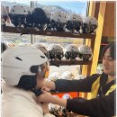 렌탈초이스