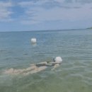 그너머소돌 이미지