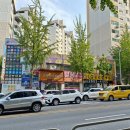 신트리미용실