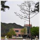 선바위가든 Daum카페