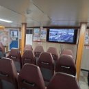 오동도유람선 | 여수밤바다 야경불꽃투어 오동도유람선 저렴하게 불꽃놀이 즐기기