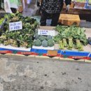 영성동로 | [인천/삼산동] 비 오는 날의 농산물도매시장 방문기! 봄동 겉절이 레시피까지