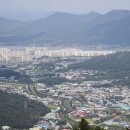 21세기정형외과의원 이미지