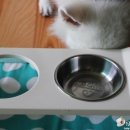 랑이네식탁 이미지