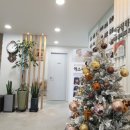 압구정리치모아의원 이미지