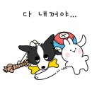 하루댕댕 이미지