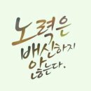 다함께 점핑점핑 이미지