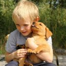 미래동물의료센터 이미지